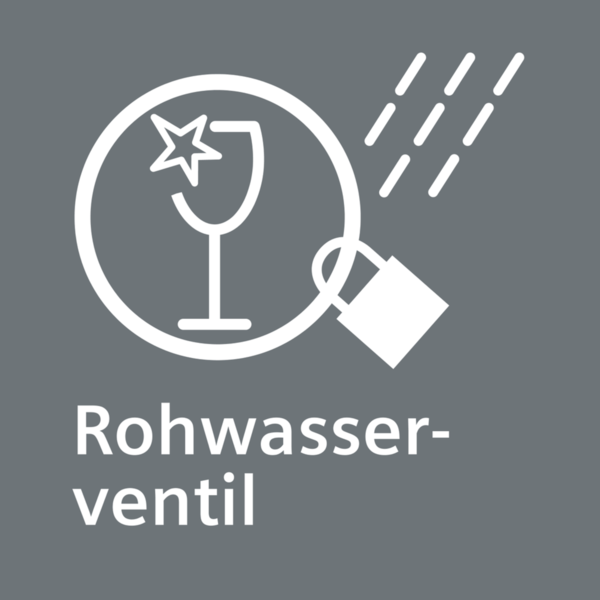 Rohwasserventil