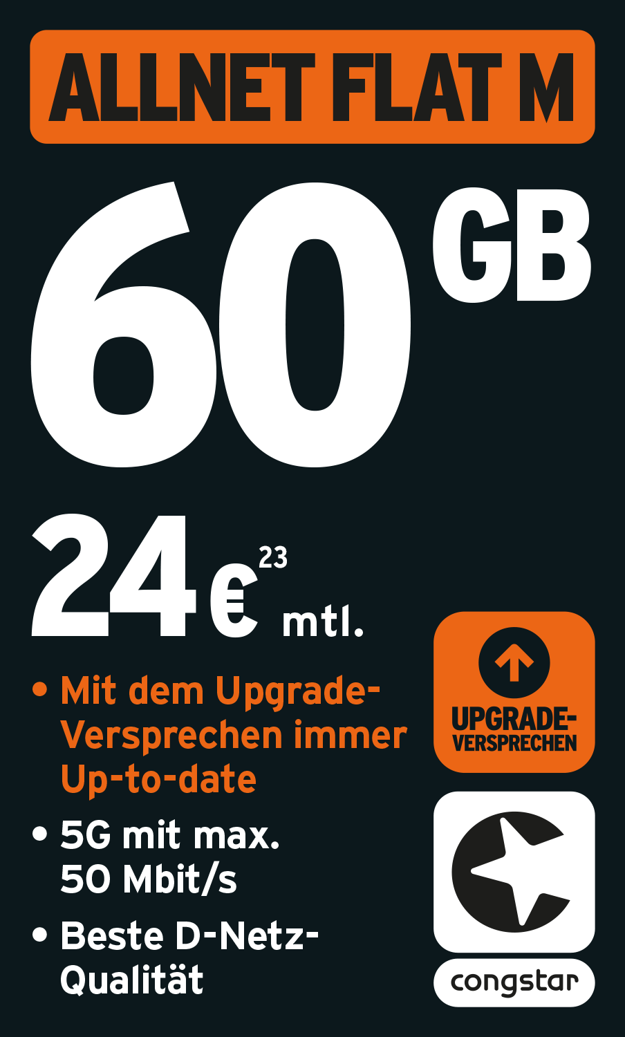 ALLNET FLAT M