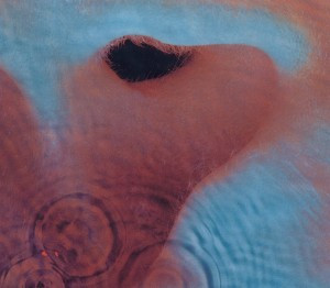 CD Pink Floyd - Meddle