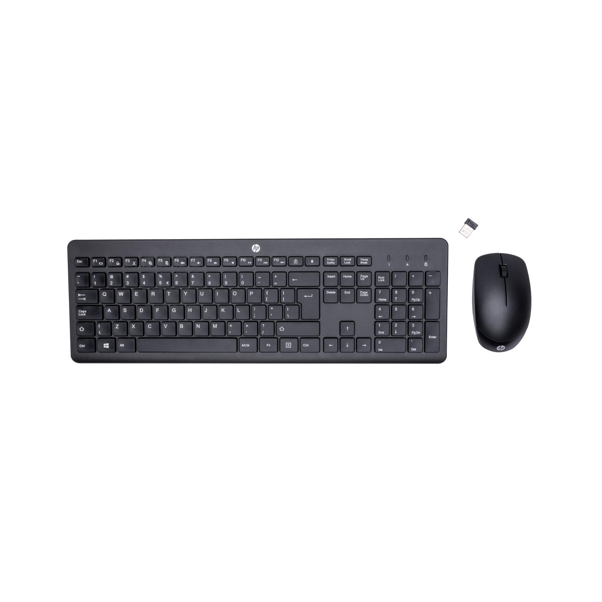 230 Wireless-Maus und -Tastatur (kombiniert)