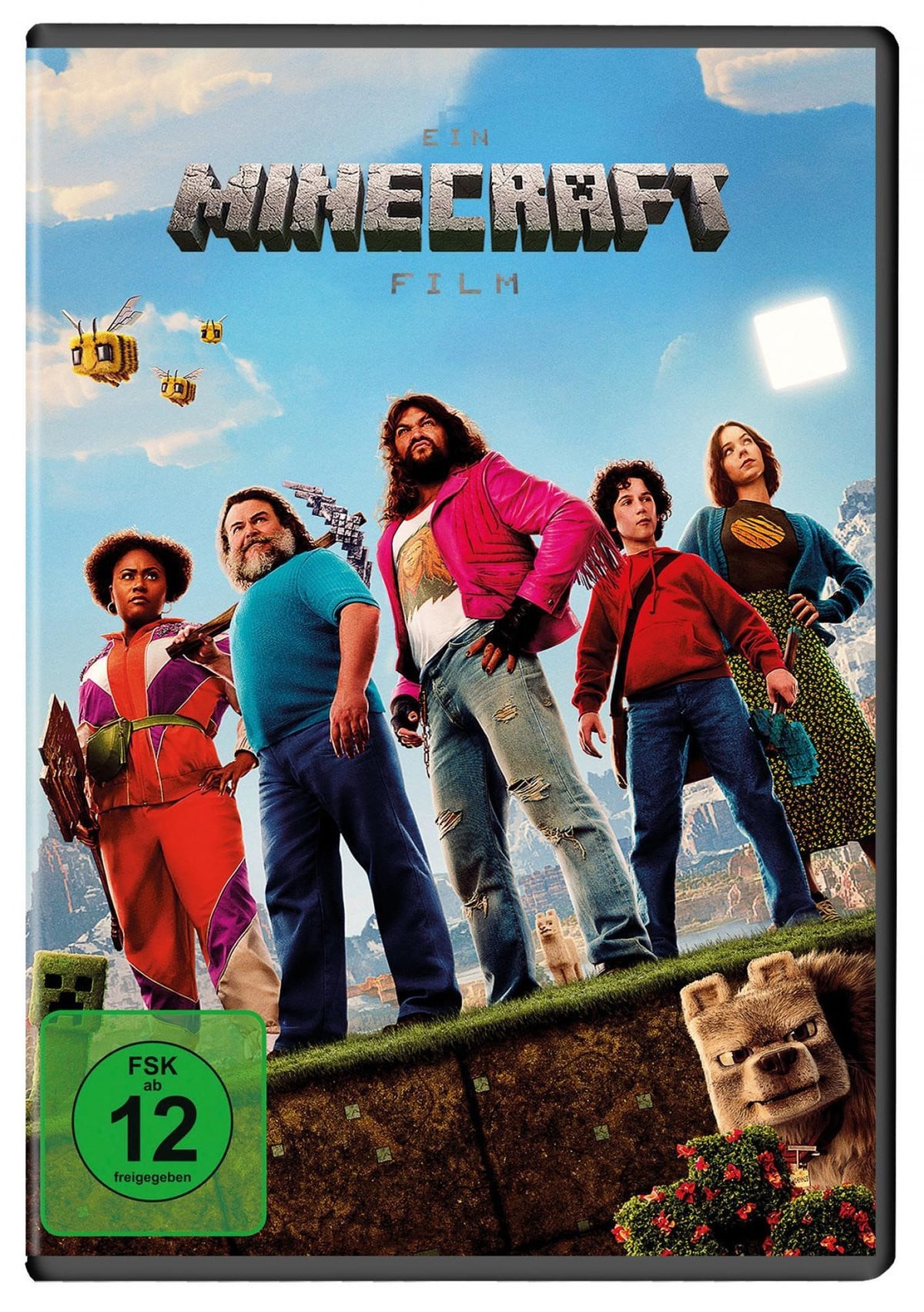 DVD Ein Minecraft Film