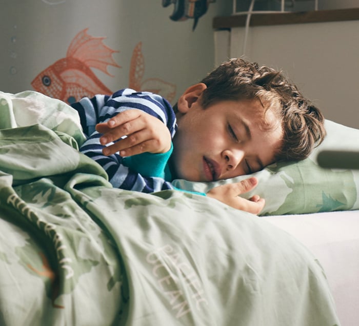 onstructa_Aktualisierung_02-2023_Eco-Line_bild4