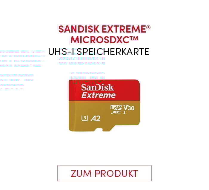 SanDisk_MSS10