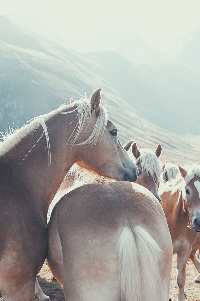 Fotos & Kamera - Themenwelt_uralub