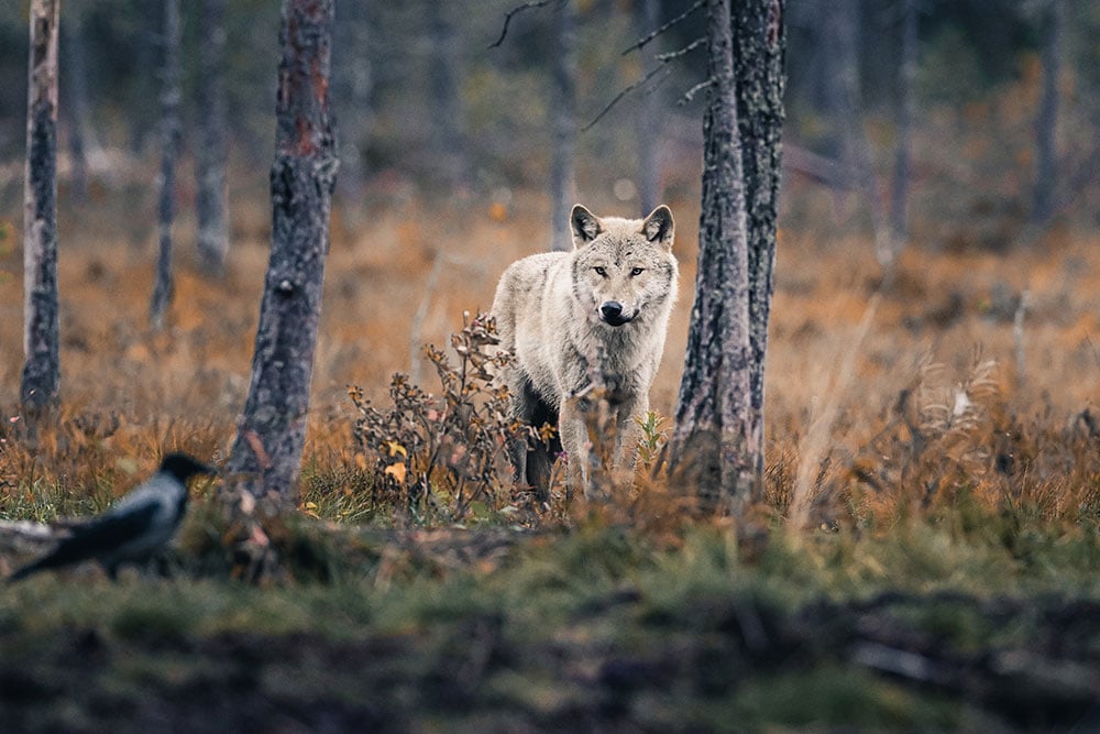 Fotos & Kamera - Themenwelt_Ergänzung
