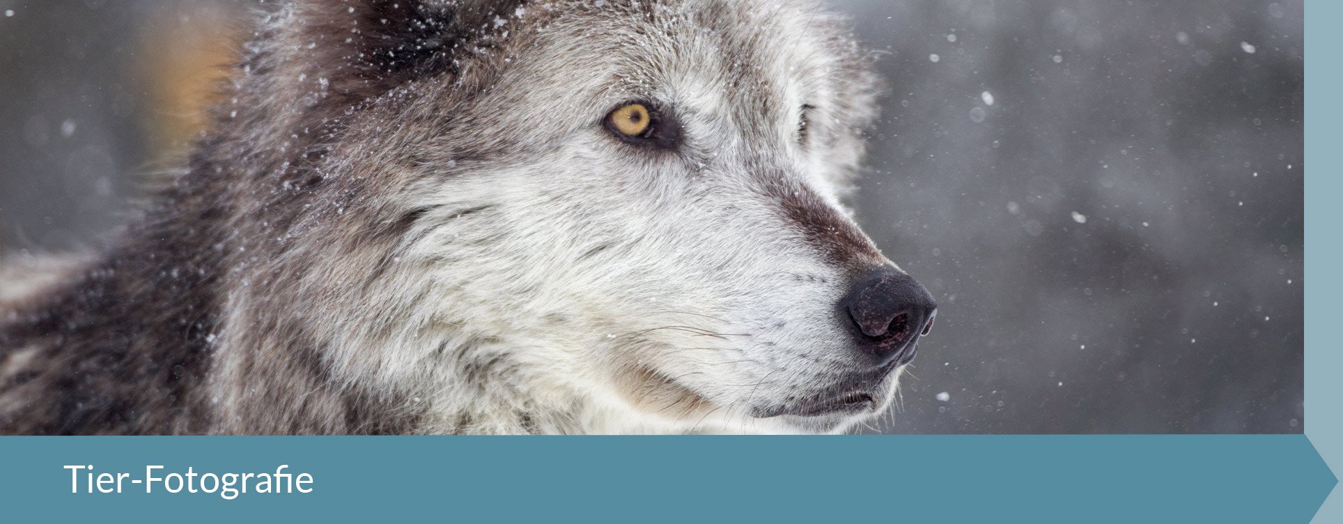 Fotos & Kamera - Themenwelt