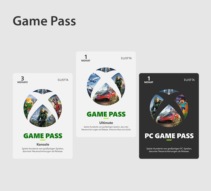 Game Pass & Zubehör