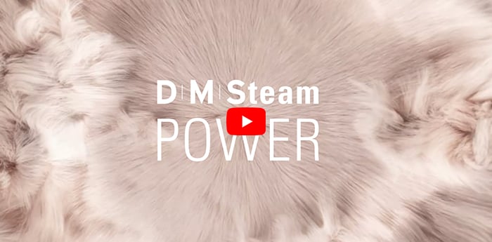 Laurastar_Doppelteaser1