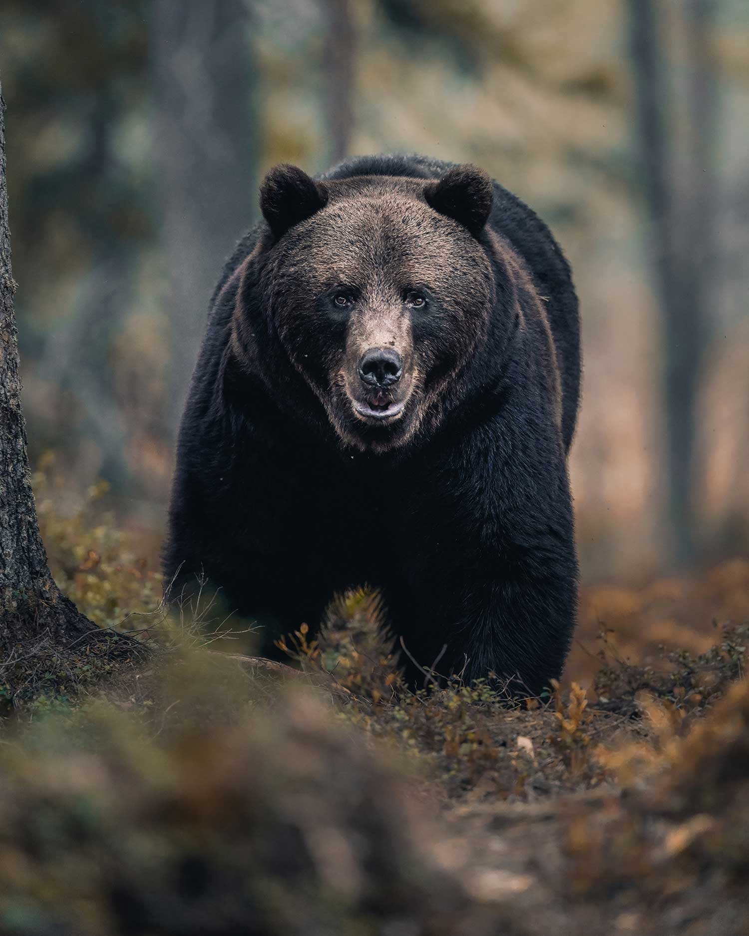 Fotos & Kamera - Themenwelt_Ergänzung