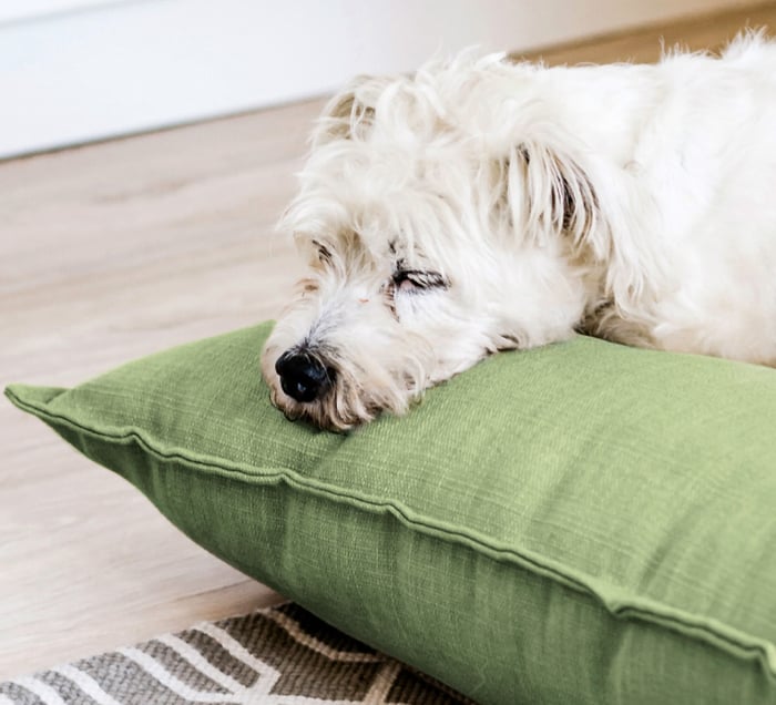 onstructa_Aktualisierung_02-2023_Eco-Line_bild3