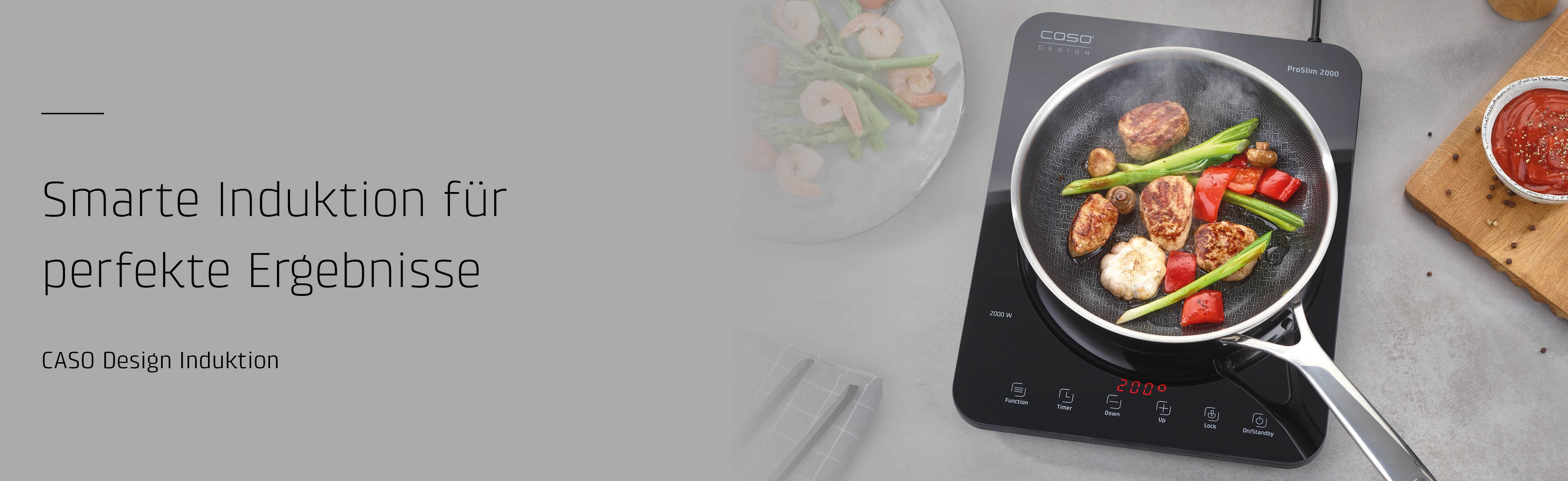 Caso_Induktion_header