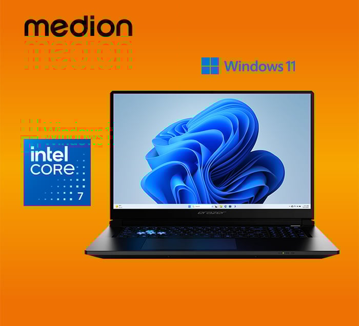 Medion ERAZER Defender 17 P1