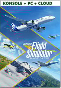 Flight Simulator