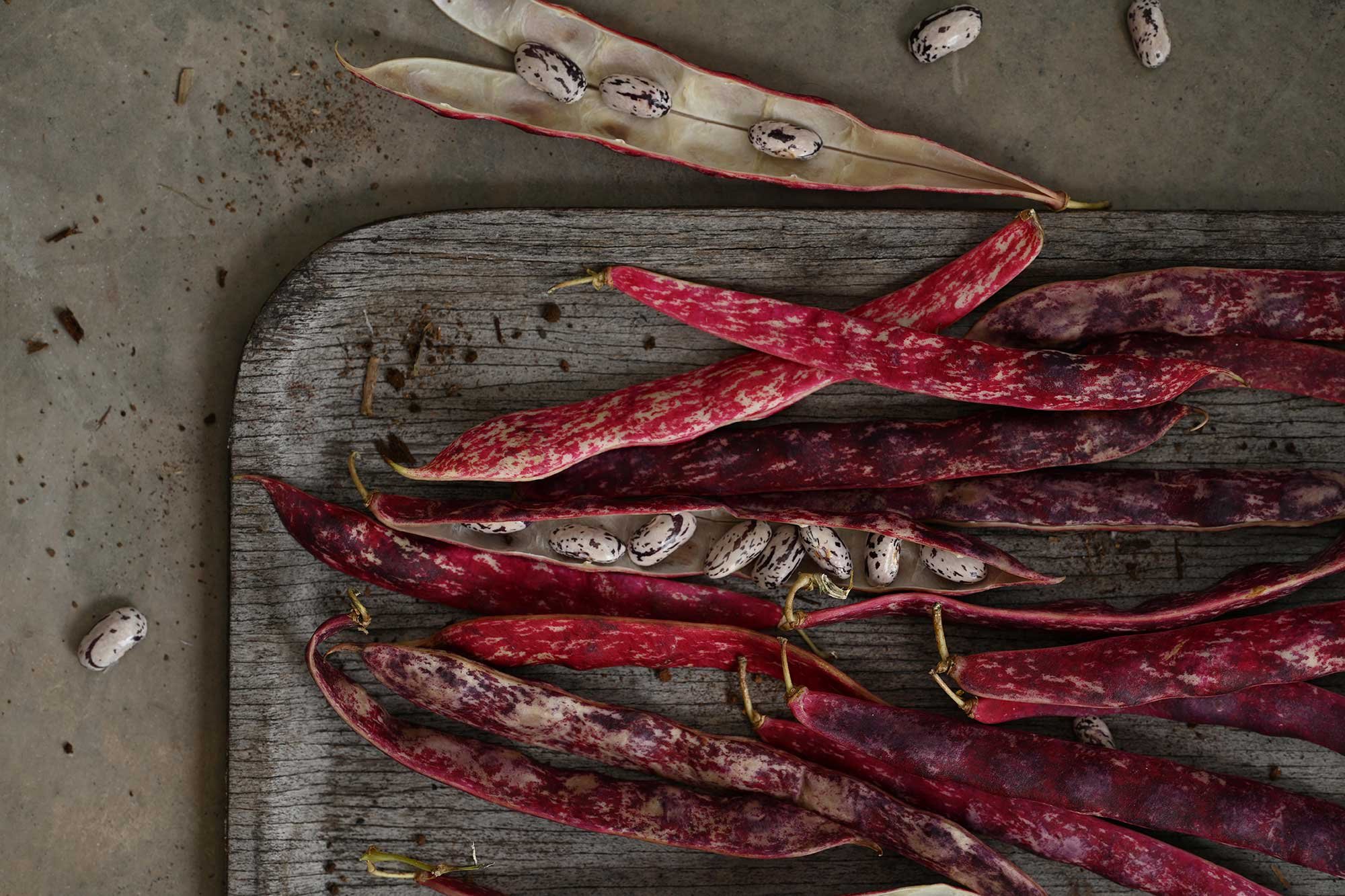 Fotos & Kamera - Themenwelt_Ergänzung