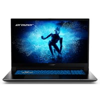 Gaming-Notebook ERAZER Defender P50i, Schwarz, 17,3 Zoll, Full-HD, Intel Core i5 13420H, 16GB, 512GB, RTX 4060