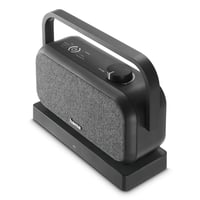 Lautsprecher für Fernseher, 2,4-GHz-Station + Bluetooth®, tragbar, stereo (00221849) TV Hörverstärker