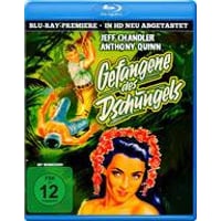 Abbildung_2304987.jpeg Abbildung_2304987.jpeg