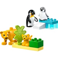 Duplo Wildtier-Familien: Pinguine und Löwen Lego-Set