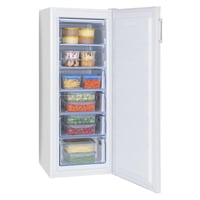 GS 324 100 W Gefrierschrank