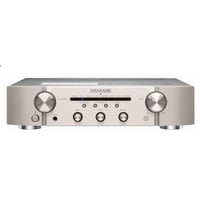 PM6007 silbergold Verstärker