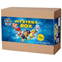 PAW Patrol Mystery Box