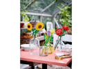 Sonnenblumen