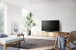 TX-48MZW984 OLED TV