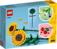 Sonnenblumen