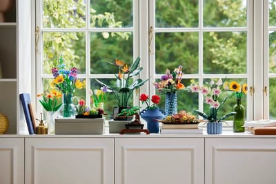 Sonnenblumen