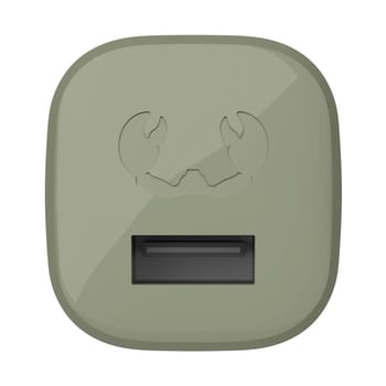 USB-A-Mini-Charger 12W, Dried Green (00220302) Ladegerät (USB-A)
