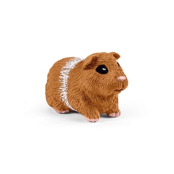 Zuhause fuer Kaninchen und Meerschweinchen
