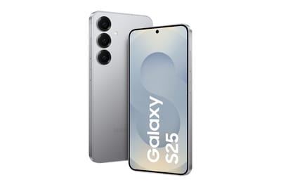 Samsung Galaxy S25 128GB 5G Silver Shadow Enterpri - bei expert kaufen
