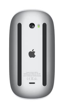 Magic Mouse Silber Maus