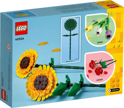 Sonnenblumen