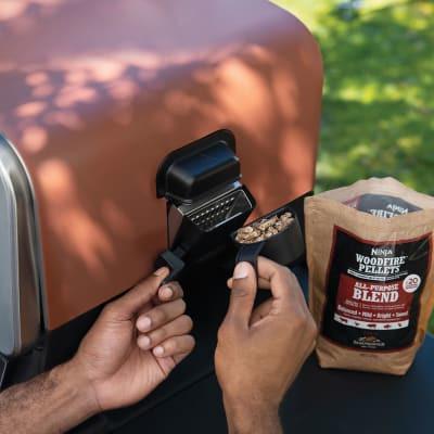Woodfire Electric Outdoor Oven, Pizza Oven and - buy at expert