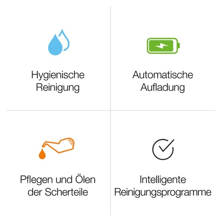 Braun Reinigungsstation Serie 5 Clean & charge advance 5090cc : :  Drogerie & Körperpflege