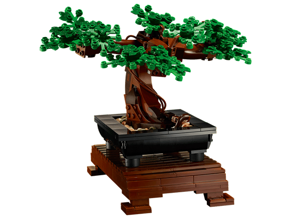 geigenfeige stamm kaufen Geigenfeige kaufen | Ficus lyrata
