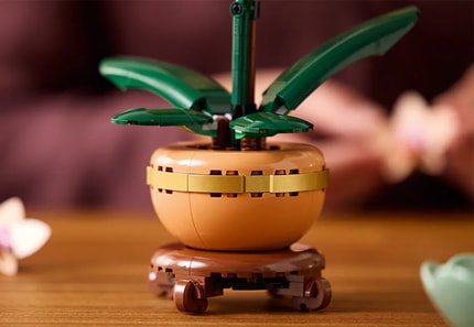 Abbildung Authentische Details