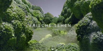 Abbildung LINEARCooling®