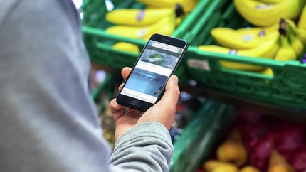 Abbildung Highlights