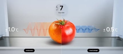 Abbildung Maximale Frische