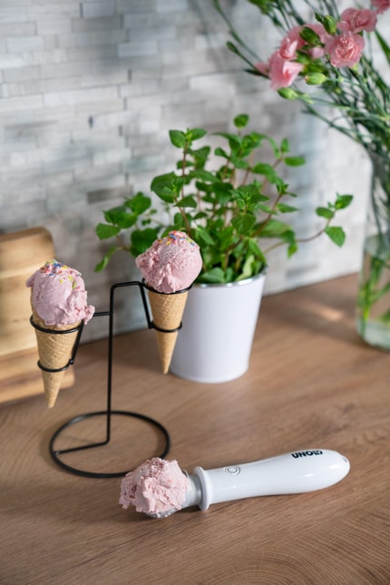 Abbildung Zum Dahinschmelzen – der aufheizbare Eisportionierer CARLO.