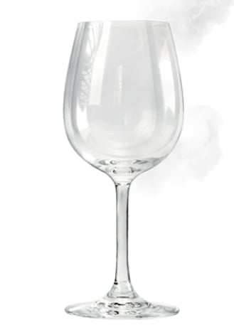 Abbildung SteamGloss®