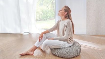 Abbildung Highlights