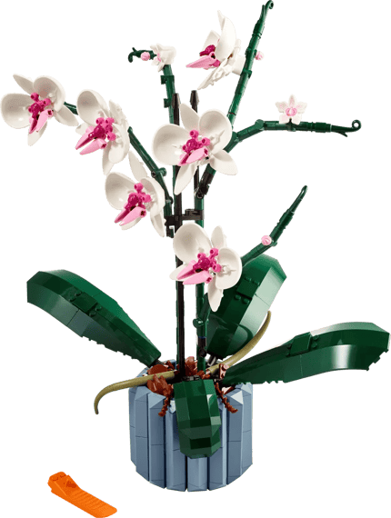 Abbildung Inspiriert von einer echten Orchidee