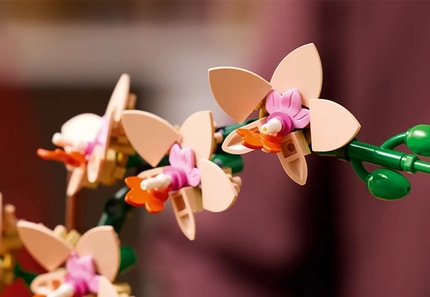 Abbildung In voller Blüte