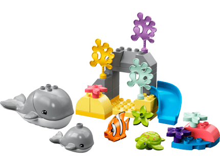 Abbildung Endloser Spaß im Meer