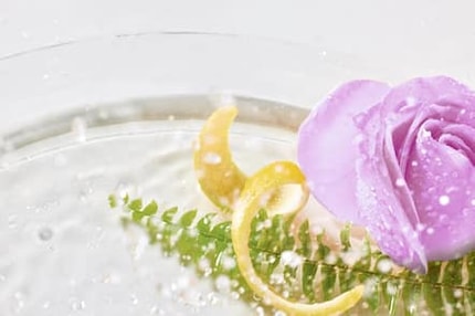 Abbildung LIMITED EDITION FLORALBOOST