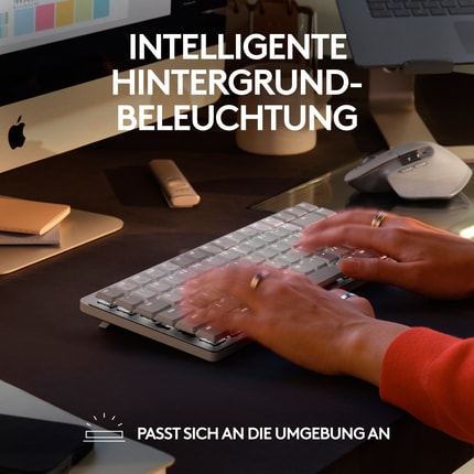 Abbildung MASTERED FOR MAC.