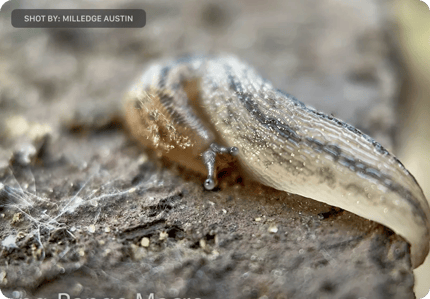 Abbildung Fotos, die